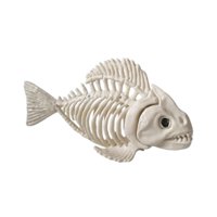 Magideal - Esqueleto De Peces Decoración De Halloween Centro De Terror De Terror De Terror Decoración De Huesos De Pescado Huesos De Animales Para Jardín De Jard