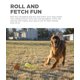 thumbnail image 2 of Ruleta giratoria Dog Chase Toy Outward Hound Tail Squeaky con cola peluda, 2 of 6