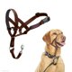 thumbnail image 1 of Collar de cabeza Halti talla 3 color Nogal Profundo – Collar de adiestramiento, 1 of 4
