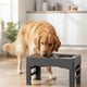 thumbnail image 5 of Plato De Comida Anti Derrame Y Ajustable Para Mascotas, 5 of 6