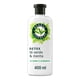 thumbnail image 1 of Acondicionador Herbal Essences Detox Té Verde & Menta, 400 ml, 1 of 5