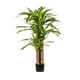 thumbnail image 1 of Planta Artificial Palo De Agua 130 Cm, 1 of 3