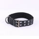 thumbnail image 1 of Collar para perro de tamaño grande, collar de pitbull de nailon resistente y grueso., 1 of 5