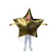 thumbnail image 1 of Disfraz de Estrella Dorada para Niños Fun Express Espuma Talla Única, 1 of 6