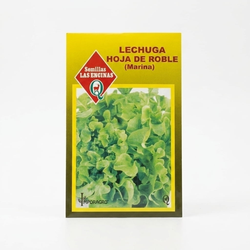 Semillas Lechuga Hoja De Roble Marina Las Encinas
