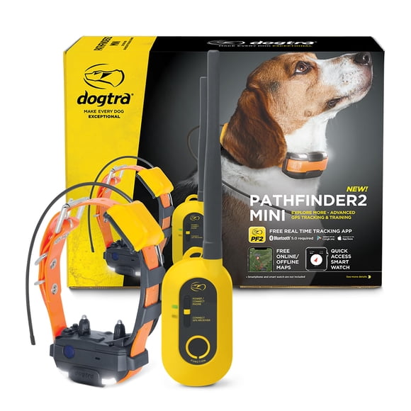 Collar rastreador GPS para perros Dogtra Pathfinder 2 Mini, alcance de 6,5 km