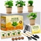 thumbnail image 1 of Kit de macetas para huerto de hierbas de interior HOME GROWN con 4 semillas de hierbas, 1 of 8