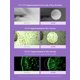 thumbnail image 3 of Suero Facial MAXCLINIC Exosome PDRN Reparador 40ml, 3 of 8
