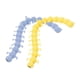 thumbnail image 3 of 2x Fidget Caterpillar Toy Sensory Slug Toy Ornamento Expandible Juguete Relajante Juguete de Viaje para Adolescentes Regalo Adultos Cumpleaños Niños y, 3 of 5