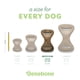 thumbnail image 5 of Juguete masticable para perros Benebone Dental duradero para masticadores agresivos, 5 of 7