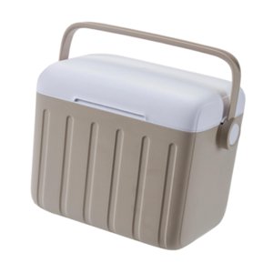 Ioensy - Nevera Portátil De 6 L Con Aislamiento Térmico Para Conservar El Frío Y El Calor, Ideal Para Fiestas, Barbacoas, Café Con Crema