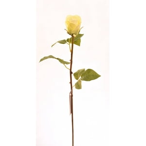 Vadell - Boton Rosa Crema 51 Cm