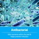 thumbnail image 5 of Vendajes adhesivos Care Science, impermeables y resistentes, tiras XL, 5 of 9