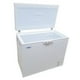 thumbnail image 2 of Freezer Horizontal Dual 230 lts Tapa Dura BOZZO, 2 of 4