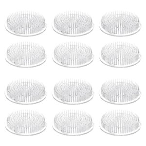 Bothyi - 12 Ranas De Flores Para Arreglos Florales, Manualidades, Jardinería, Enseñanza En El Aula