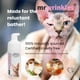 thumbnail image 2 of Limpiador Para Mascotas Espuma Sin Enjuague 120 Ml, 2 of 5