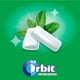 thumbnail image 3 of Chicle Sin Azúcar Sabor Hierbabuena, 46 Un, 3 of 7