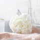 thumbnail image 4 of 4 esponjas exfoliantes de tejido familiar para ducha, bolsa de red, cepillo para bañera, bola exfoliante, cara, cuerpo, bacinilla, espuma rica, 4 of 5