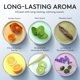 thumbnail image 4 of Scented Therapy Putty Special Supplies, juego de 6 aromas, 135 ml, 4 of 8