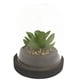 thumbnail image 1 of Planta Decorativa Artificial Suculenta Cupula, 1 of 4