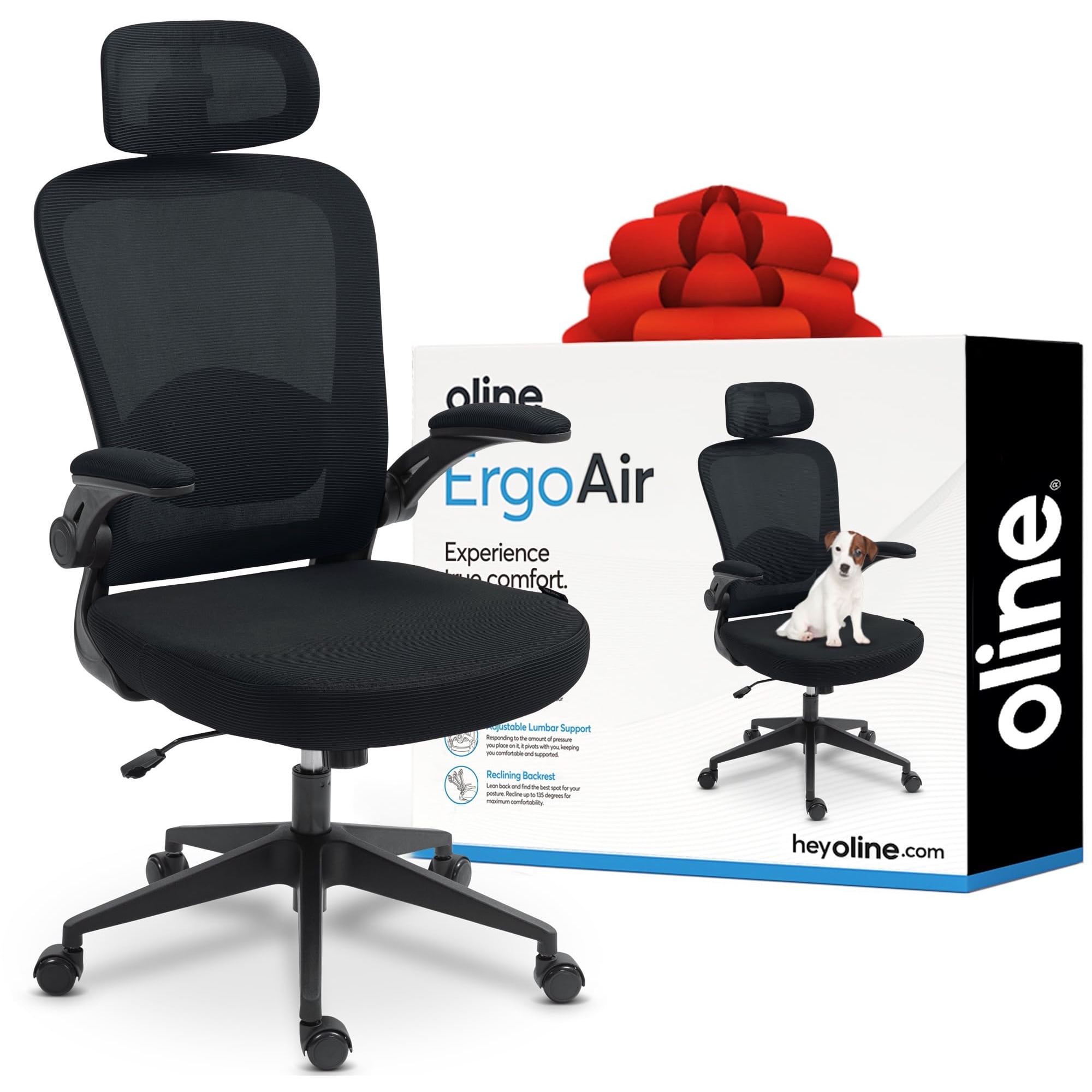 Silla De Oficina Oline Ergoair Ergonómica Ajustable Lumbar Negra