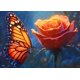 thumbnail image 1 of Kit de pintura con diamantes DIAMOND ART CLUB Glowing Monarch 45 x 33 cm, 1 of 4