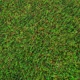 thumbnail image 2 of Pasto Sintetico 25mm Rollo 2x4 Metros Realista Con Memoria Guiza, 2 of 8