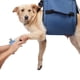 thumbnail image 2 of Perro Carry Sling, Mochila de emergencia Pet Piers Support & Rehabilitation Perro Elevador arnés para el recorte de uñas, Perro Carrier para perros mayores lesiones articulares, artritis, ar, 2 of 3