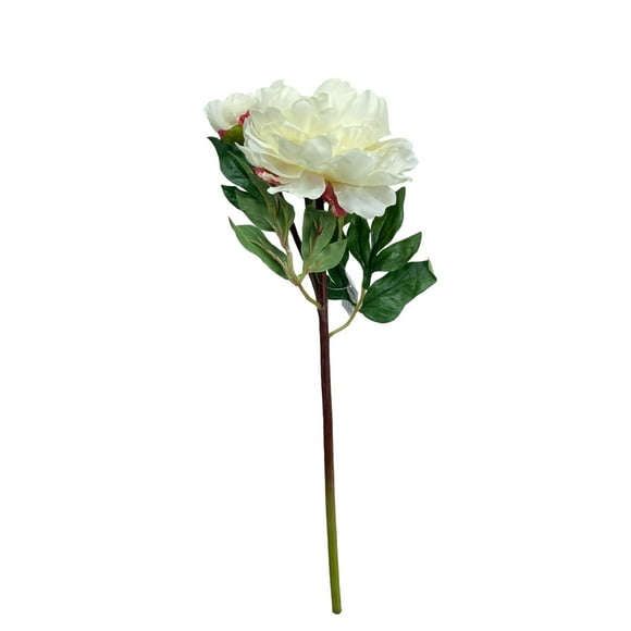 Peonia Con Boton Blanca 54cm Con Acabado Natural