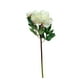 thumbnail image 1 of Peonia Con Boton Blanca 54cm Con Acabado Natural, 1 of 3
