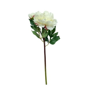 Corel - Peonia Con Boton Blanca 54Cm Con Acabado Natural
