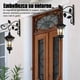 thumbnail image 5 of 2 Ganchos De Pared Para Colgar Plantas En Macetas, 5 of 7