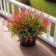 thumbnail image 2 of Plantas artificiales Ammyoo Monkey Grass para decoración exterior, resistentes a los rayos UV, 2 of 8