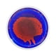 thumbnail image 1 of Liquid The Tiles Alfombra De Juego De Actividades Redonda De 30 Cm Para Niños Y Niños, Color Rojo Y Azul, 1 of 5