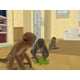 thumbnail image 5 of Videojuego Ubisoft Petz Crazy Monkeyz para Nintendo DS, 5 of 8