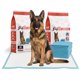 thumbnail image 1 of Sabanillas Para Perros 90 x 60 Duke Training Pad Pack 60 U, 1 of 10
