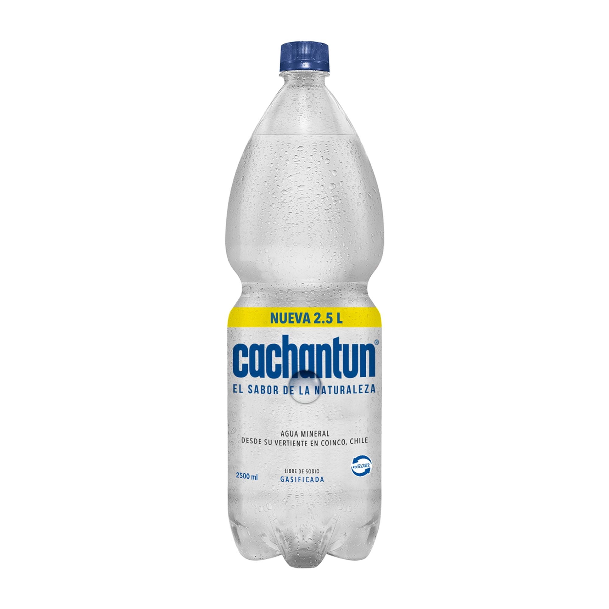 Agua Mineral Con Gas Botella 2,5 L Cachantun