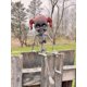 thumbnail image 2 of Figura de Juguete Seasons Crazy Bonez Muñeca Esqueleto de 46 cm, 2 of 6
