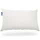 thumbnail image 1 of Pillow Cosy House Collection, espuma viscoelástica de lujo, tamaño king, 1 of 6
