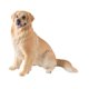 thumbnail image 1 of Figura De Perro Realista, Excelente Mano De Obra, Recuerdo, Figura De Animal Coleccionable, Marrón Claro, 1 of 3