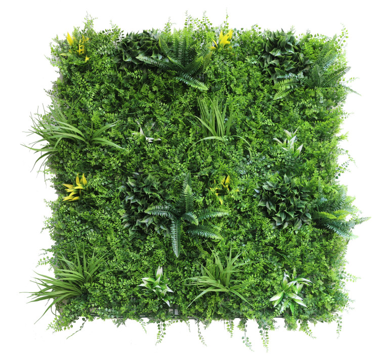 Signet - Jardin Vertical Helecho Pro