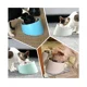 thumbnail image 5 of 15 cuencos inclinados para perros y gatos, cuenco inclinado para bulldog, 5 of 5