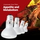 thumbnail image 4 of Bombillas Basking Light de 50 W, paquete de 4 bombillas Bluex para reptiles, 4 of 7