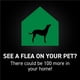 thumbnail image 4 of Prevención De Pulgas Y Garrapatas Para Perros Large 3 Dosis, 4 of 5