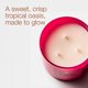 thumbnail image 2 of VELA Bath & Body Works Cactus Blossom – Pack de 2, 2 of 7