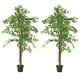 thumbnail image 1 of Planta Artificial Decorativa Arbol Grande Pack Ficus 160cm, 1 of 8