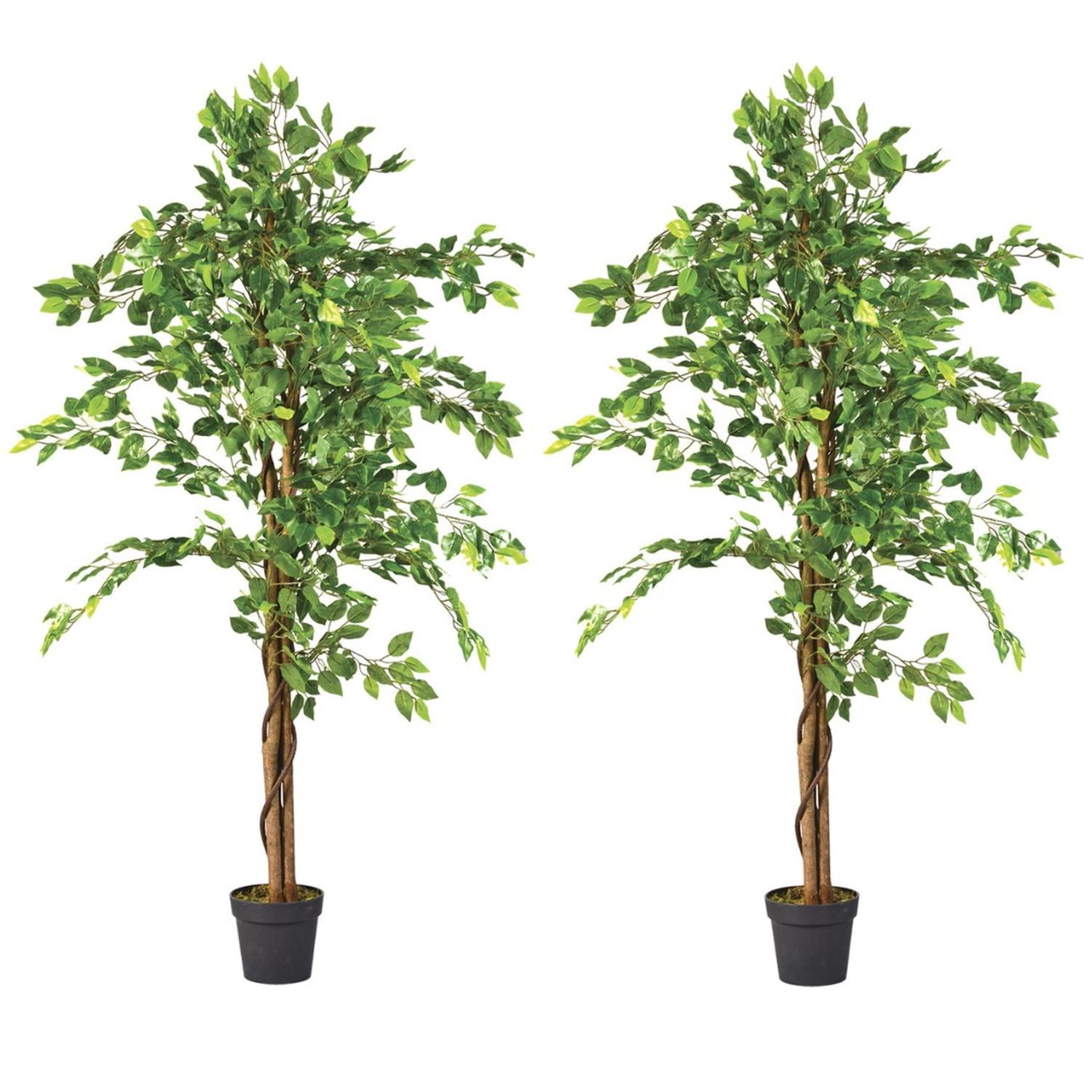 Arbusto Real - Planta Artificial Decorativa Arbol Grande Pack Ficus 160cm