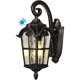 thumbnail image 1 of DEWENWILS Dusk to Dawn Outdoor Wall Light 17.7 Inch Black Wall Light, 1 of 3