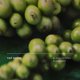 thumbnail image 4 of Perfume Future Society Floating Forest Eau de Parfum, 9,5 ml, 4 of 7