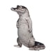 thumbnail image 1 of Figura De Cocodrilo, Adorno Central Para Ceremonia De Escritorio, 1 of 6